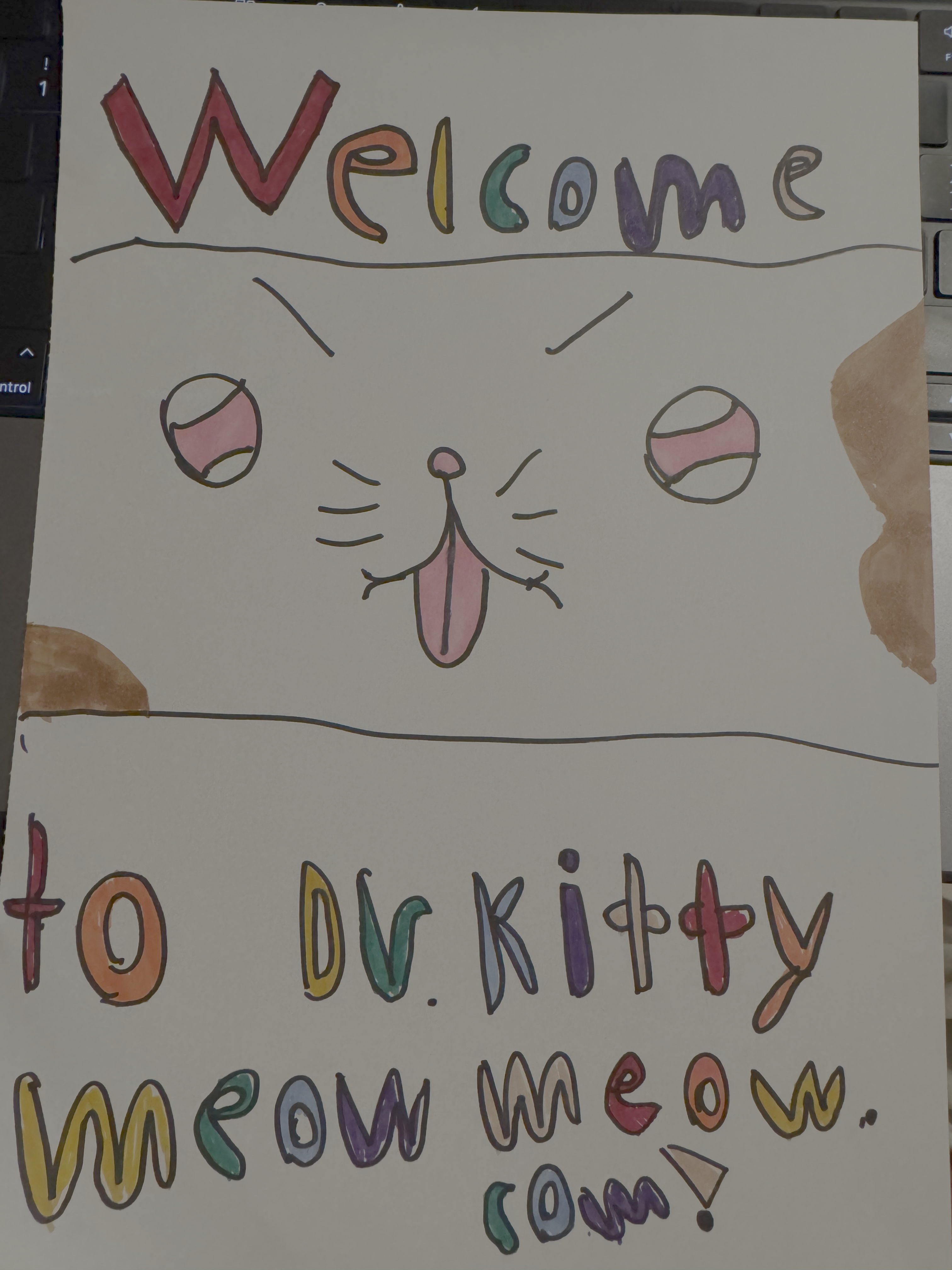 Welcome to Dr. Kitty Meow Meow